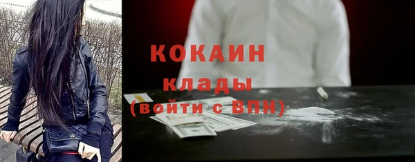 гидра Володарск