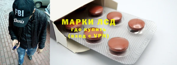 гидра Володарск