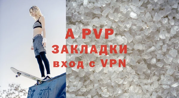гидра Володарск