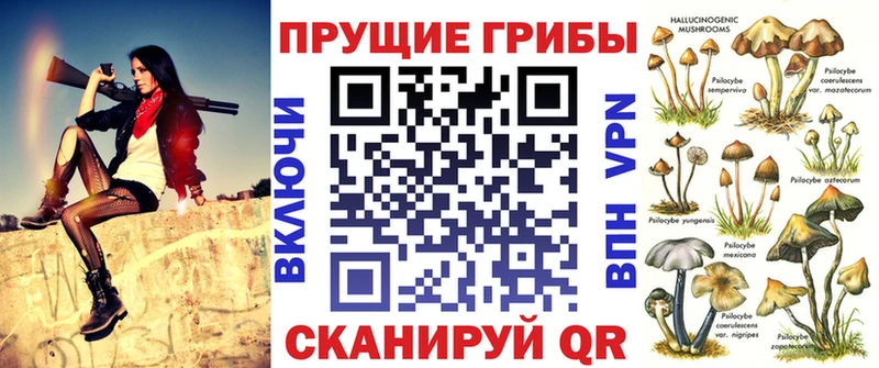 Псилоцибиновые грибы прущие грибы Горно-Алтайск