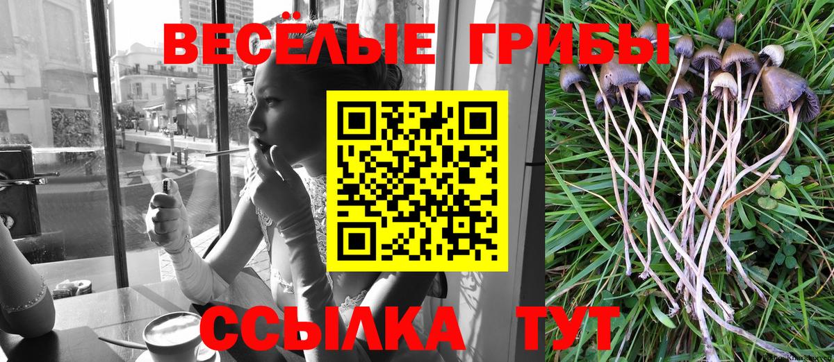 Псилоцибиновые грибы прущие грибы  купить   Горно-Алтайск  Вход с VPN 