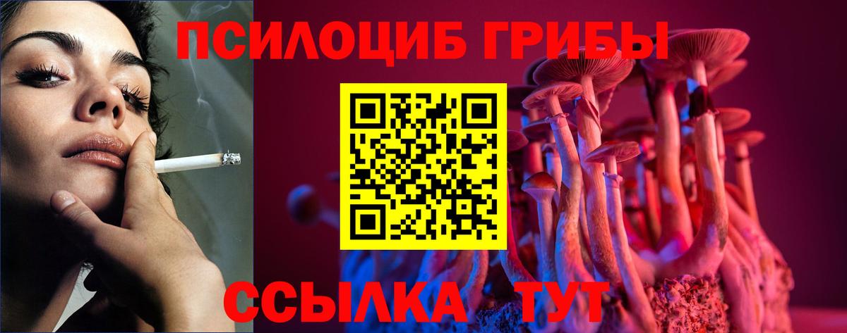 Псилоцибиновые грибы прущие грибы Горно-Алтайск