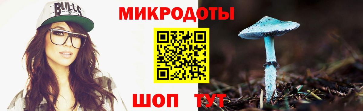 Псилоцибиновые грибы ЛСД Горно-Алтайск